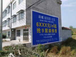 勉县墙体广告质量分析