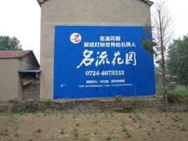 勉县农村墙体广告的长尾效应