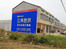 勉县农村墙体广告在不同形式上面展现的不同特色