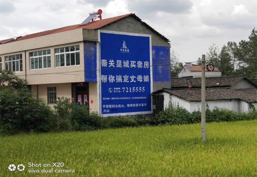勉县决定墙体广告价格的因素有哪些？