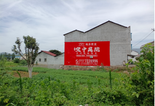 勉县做墙体广告的意义