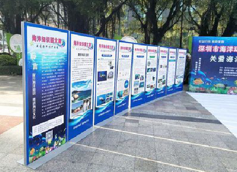 勉县KT板的种类和知识。